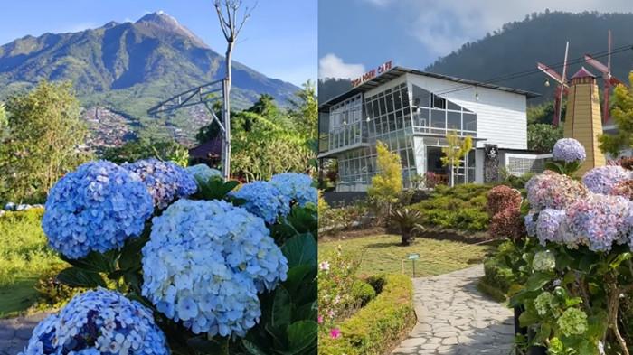 WISATA BOYOLALI - Spot Instagramable di Merapi Garden Selo, Boyolali, Jawa Tengah. Berikut rekomendasi wisata hidden gem di Boyolali.