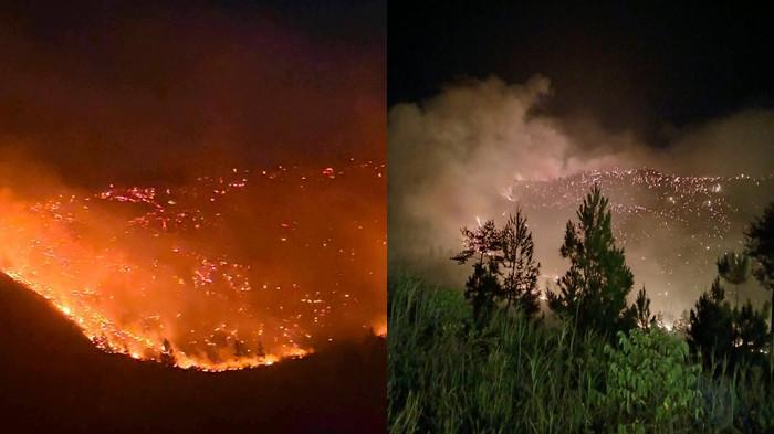 KEBAKARAN HUTAN - Sekitar 100 hektare hutan di kecamatan Silian Raya, Kabupaten Minahasa Tenggara (Mitra), Sulawesi Utara mengalami kebakaran, Minggu 2 Agustus 2026. 