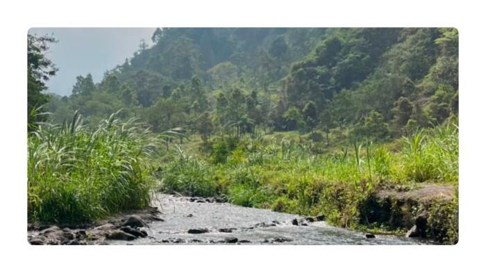 03082026 sungai