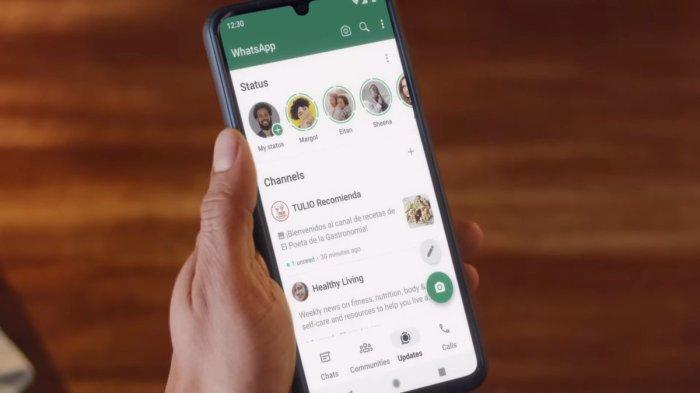 APLIKASI PESAN- WhatsApp merupakan aplikasi pesan yang paling banyak digunakan di dunia. Keberadaannya sangat membantu dalam aktivitas komunikasi.