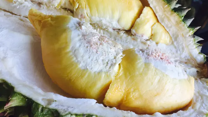 Ilustrasi Durian/https://unsplash.com/Gliezl Bancal