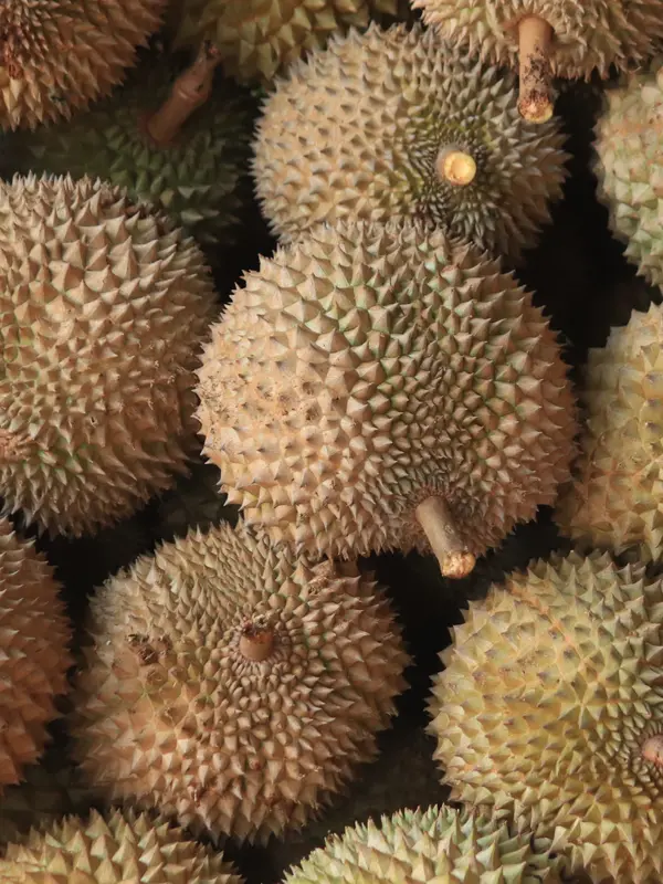 Ilustrasi Durian/https://unsplash.com/Mufid Majnun