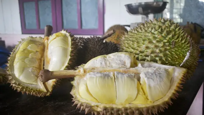 Durian (Foto: Liputan6.com/Muhamad Ridlo)