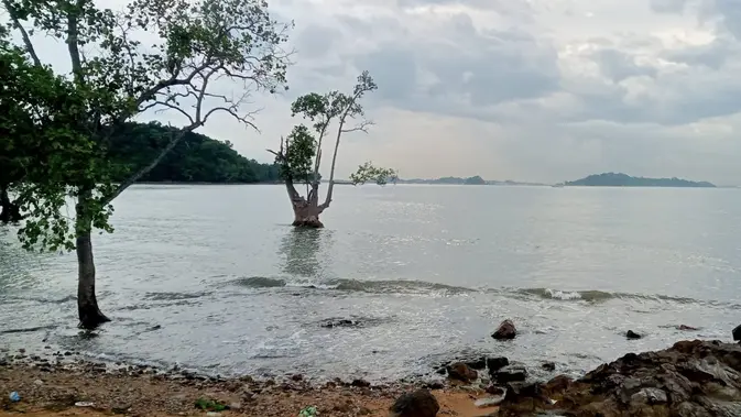 Lokasi kapling laut Batam, yakni pantai Tanjung Pinggir. (Liputan6.com/Ajang Nurdin)