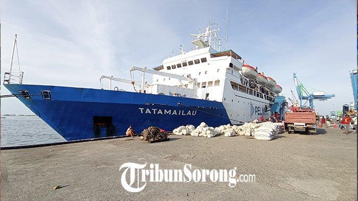 KM TATAMAILAU - Suasana saat KM Tatamailau berlabuh di Pelabuhan Sorong, Papua Barat Daya, Jumat (20/12/2024). Simak jadwal kapal Pelni rute Ambon ke Dobo Agustus 2026. Ada KM Tatamailau, KM Leuser, dan KM Sirimau.