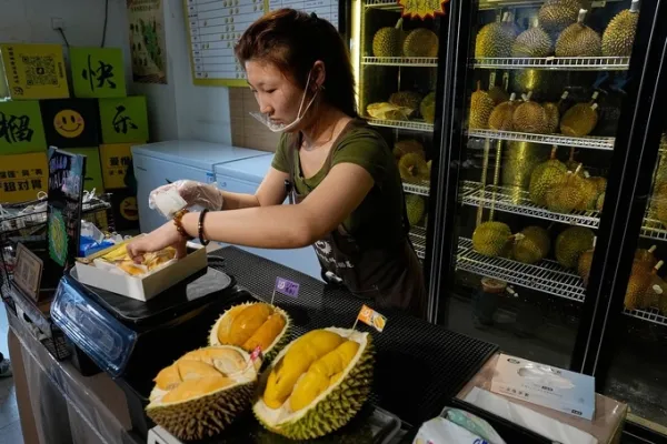 Worker Hou Yuxin packs durian fruit imported from Malaysia for delivery for a customer at a shop in Beijing, China, Monday, July 13, 2026. Photo by AP