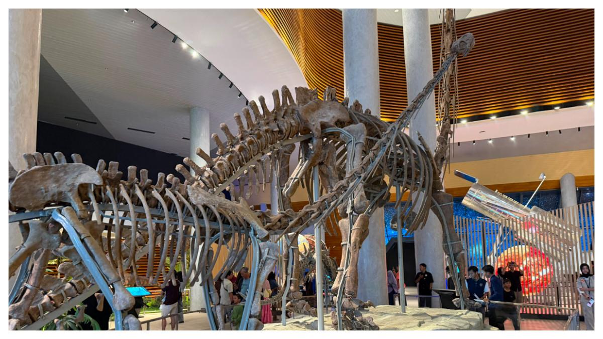 MUSEUM TAHIR - Potret fosil asli dinosaurus hasil kolaborasi dengan Museum Dinosaurus Zigong di China yang menjadi artefak pajangan sementara di Museum Tahir Solo hingga Desember 2026, Selasa (4/8/2026).