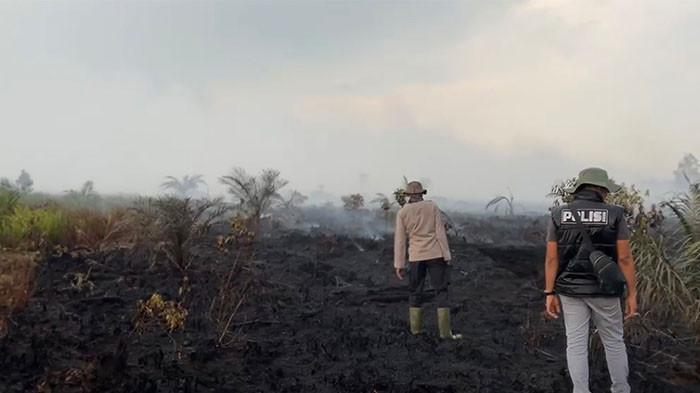 KARHUTLA DI JAMBI - Kebakaran hutan dan lahan di Desa Rantau Panjang, Kecamatan Kumpeh, Muaro Jambi, bisa dipadamkan setelah menghanguskan sekitar 20 hektare lahan gambut dan melibatkan operasi pemadaman melalui jalur udara.