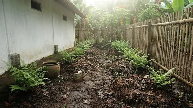 Cara Agar Pakis Sayur Cepat Keluar Tunas (AI Generated)