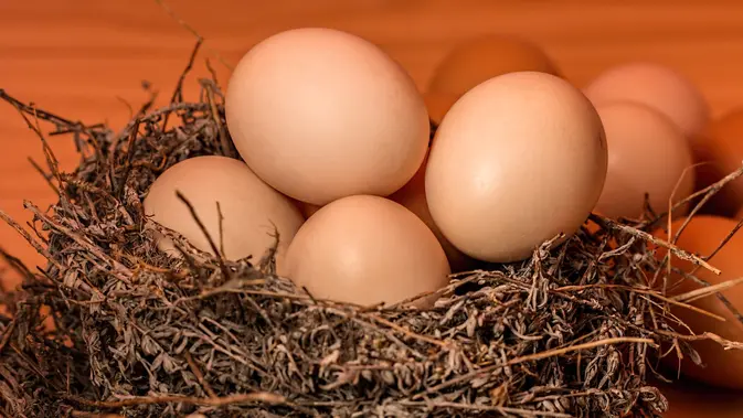 ilustrasi telur rebus/Image by Steve Buissinne from Pixabay