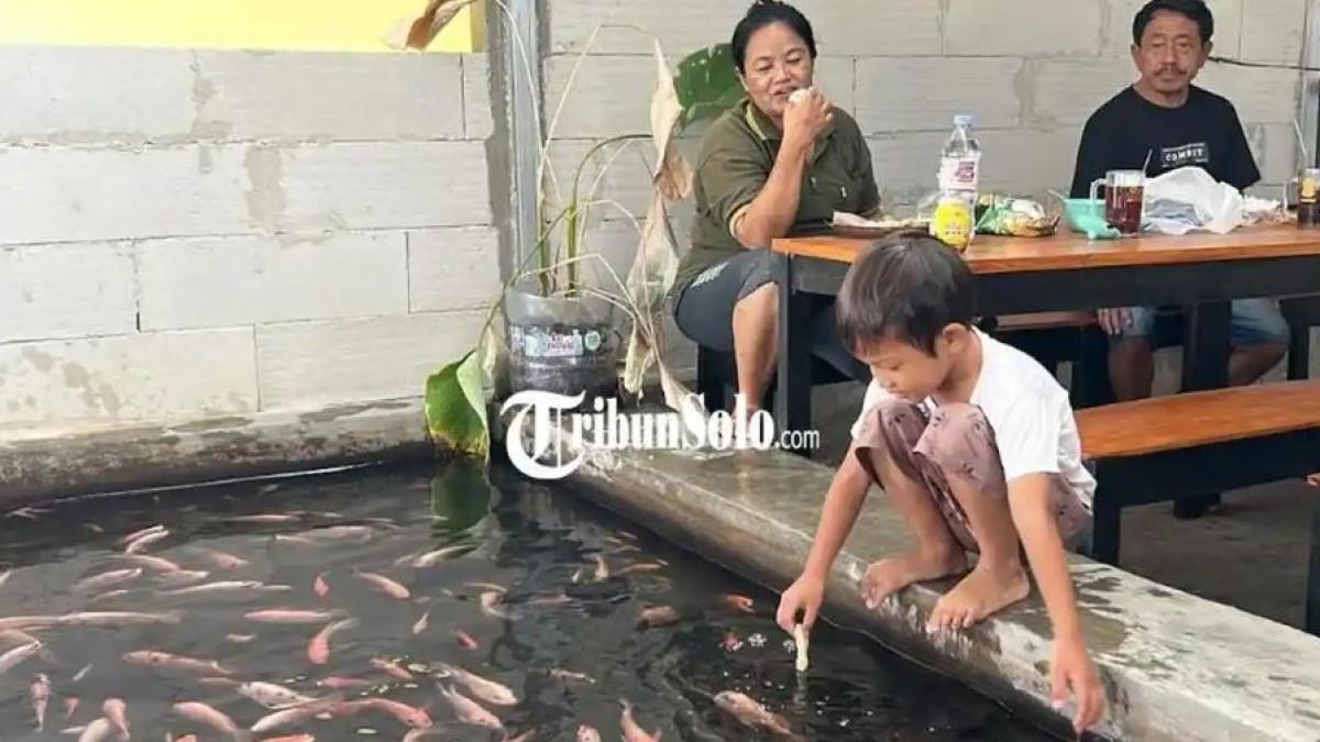 KULINER KLATEN - Warung Soto dan Sop Mbak Mintol, sajikan warung soto dengan konsep kolam ikan di Dukuh Prayan, Desa Planggu, Kecamatan Trucuk, Kabupaten Klaten, Jumat (7/8/2026).