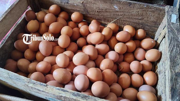 HARGA TELUR TURUN - Komoditas telur ayam di Pasar Jungke, Kelurahan Jungke, Kecamatan/Kabupaten Karanganyar, Jawa Tengah, terus mengalami penurunan harga, Selasa (30/6/2026). Saat ini, harga telur dibanderol Rp22 ribu per kilogram. Namun, penurunan harga tersebut justru belum mampu mendongkrak daya beli masyarakat di pasar tradisional.