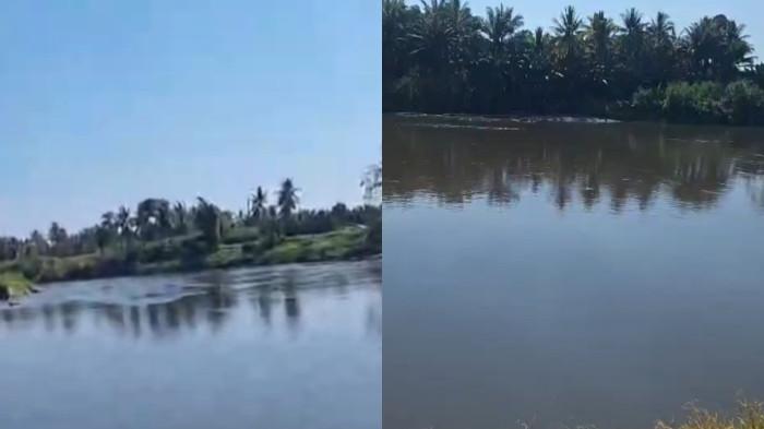 Kondisi air Sungai Budong-Budong, Mamuju Tengah, yang tampak menghitam saat musim kemarau, Senin (10/8/2026). Penyebab perubahan warna air masih dalam penelusuran pihak terkait.