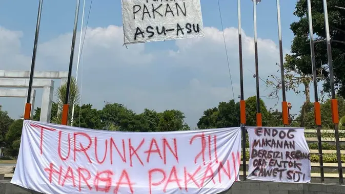 Peternak Pati Mengamuk, Lempar Telur ke Kantor Bupati dan Bawa 1 Ton Ayam