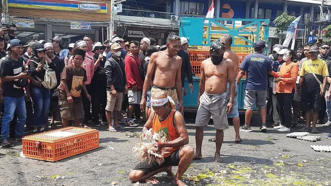 Peternak Pati Mengamuk, Lempar Telur ke Kantor Bupati dan Bawa 1 Ton Ayam