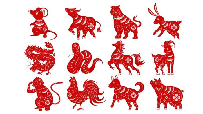 CHINESE ZODIAK- Ilustrasi chinese zodiak atau shio dalam kepercayaaan masyarakat Tionghoa.