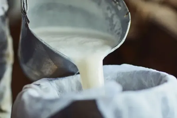 Daerah penghasil susu sapi di Indonesia Selain Boyolali, Ini 5 Daerah Penghasil Susu Sapi di Indonesia