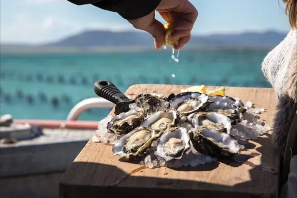 Oyster Farm Tours Fresh oysters from the sea at Coffin Bay on Eyre Peninsula