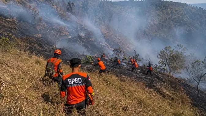 Proses pemadaman kebakarasn di kawasan Gunung Bromo oleh petugas BNPB. (Dok: BNPB)