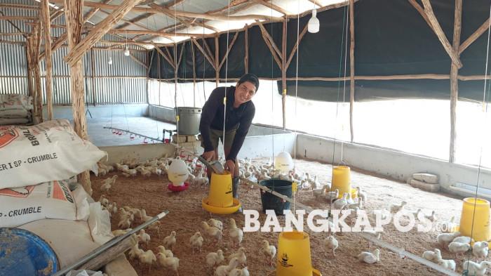 20260812 Lewat peternakan ayam