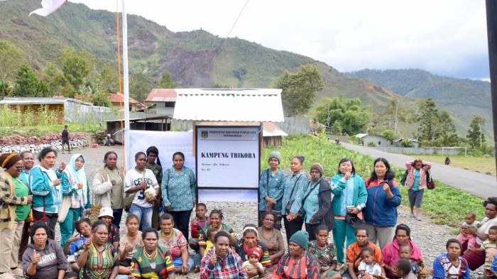 BANTUAN PEMERINTAH - Tim Penggerak Pemberdayaan dan Kesejahteraan Keluarga (TP PKK) Provinsi Papua Tengah menyerahkan bantuan 50 ekor atau 25 pasang ayam kampung kepada lima kelompok peternak di Kabupaten Puncak Jaya, Selasa (11/8/2026).