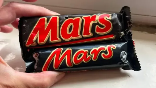 Cokelat Berusia 35 Tahun Ditemukan, Ukurannya Bikin Netizen Kaget!