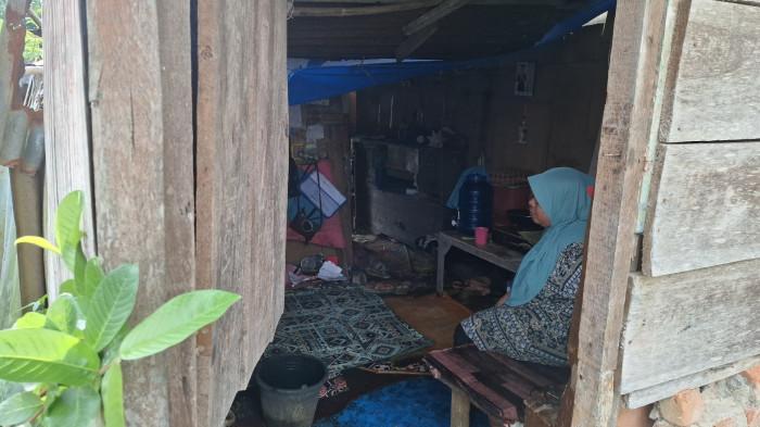 RTLH - Kondisi rumah Paradila di Kepahiang pada Rabu (5/8/2026).Nestapa warga Kepahiang bernama Paradila yang berjuang bersama anaknya tinggal di rumah tidak layak selam 13 tahun.
