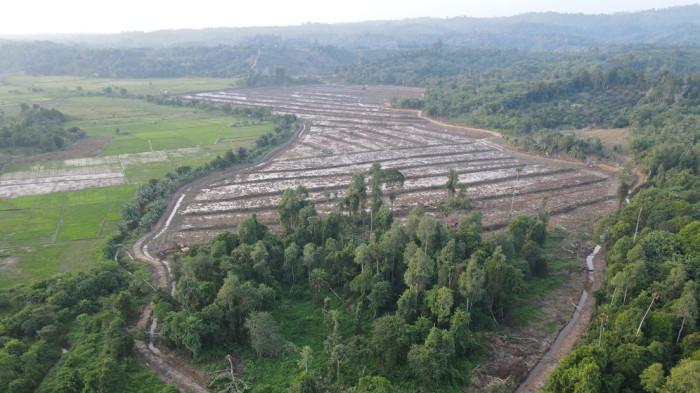 12082026 sawah di Nunukan 002