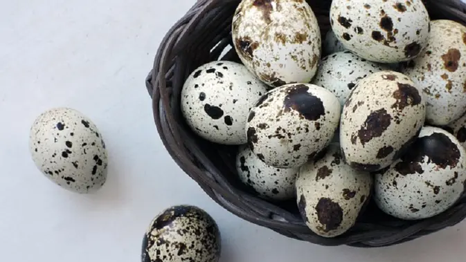 Telur puyuh dalam wadah (pixabay)