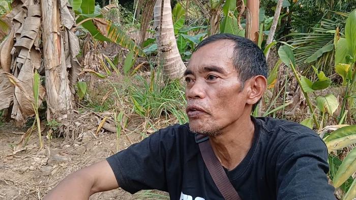 SAWAH - Anda (53) warga Desa Bayah Timur,