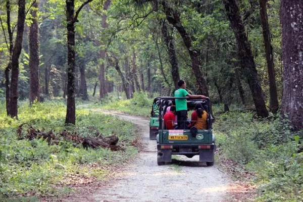 Smoking banned in Gorumara National Park as a precaution to wildfire
