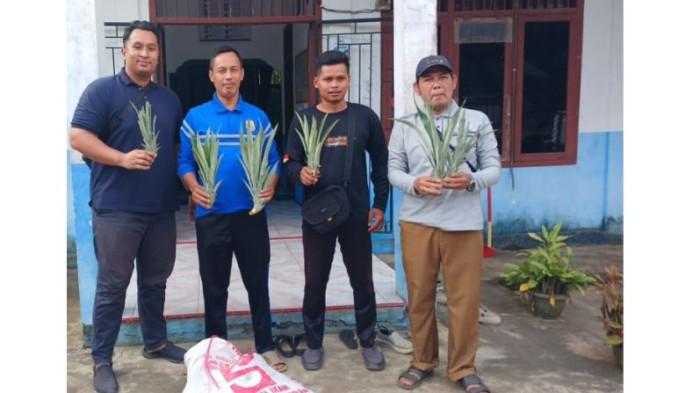 BANTUAN - PT Perkebunan Nusantara (PTPN) IV Regional IV Jambi-Sumbar melalui Kebun Unit Lagan menyalurkan sebanyak 1.500 bibit nanas siap tanam kepada warga Desa Merbau dan Desa Sungai Tawar, Kecamatan Mendahara, Kabupaten Tanjung Jabung Timur (Tanjab Timur), Jambi.