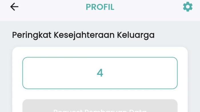 Tangkapan layar hasil cek desil di aplikasi Cek Bansos Kemensos. Memahami posisi desil dalam Data Tunggal Sosial Ekonomi Nasional (DTSEN) sangat penting karena angka inilah yang menentukan apakah Anda layak mendapatkan bantuan pemerintah atau tidak.