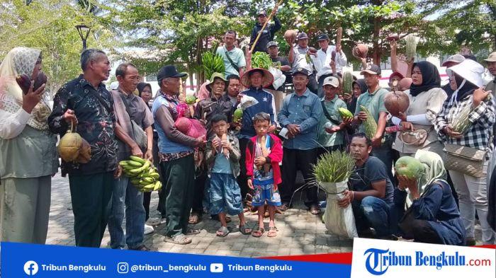 BAWA HASIL BUMI - Tiga petani dari Kelompok Petani Tanjung Sakti, Desa Sibak, Kabupaten Mukomuko, Bengkulu, mendatangi Pengadilan Negeri (PN) Mukomuko, Kamis (13/8/2026). Mereka datang untuk menunjukkan itikad baik dalam memenuhi kewajiban pembayaran sebesar Rp3 miliar yang berkaitan dengan perkara konflik lahan antara Kelompok Petani Tanjung Sakti dan PT Daria Dharma Pratama (DDP).