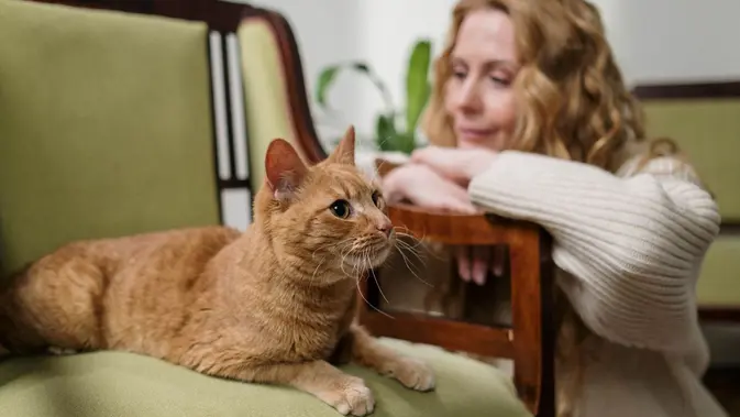 Manfaat Memelihara Kucing (Foto: Pexels/Cottonbro)