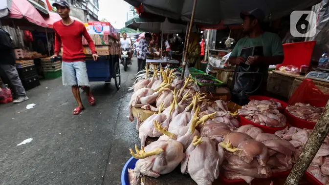 Lapak pedagang ayam potong yang berjualan di Pasar Tradisional Kebayoran, Jakarta Selatan (Liputan6.com/Johan Tallo)