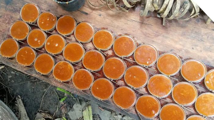 Gulan Aren Gayo Lues -96