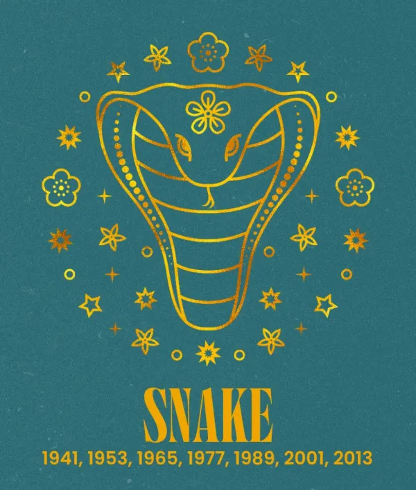 snake chinese zodiac signs everything falls place august 19, 2026