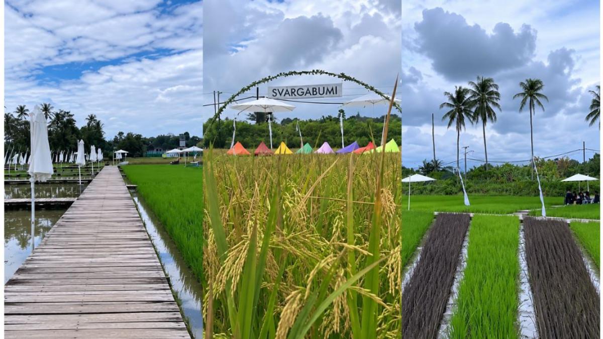 SVARGABUMI BOROBUDUR - liburan ke Magelang makin seru di Svargabumi Borobudur. berburu 30 spot foto estetik di tengah sawah dengan panorama Borobudur yang memukau.