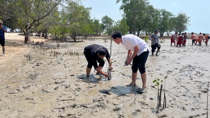 20260818 Proses Penanaman Mangrove