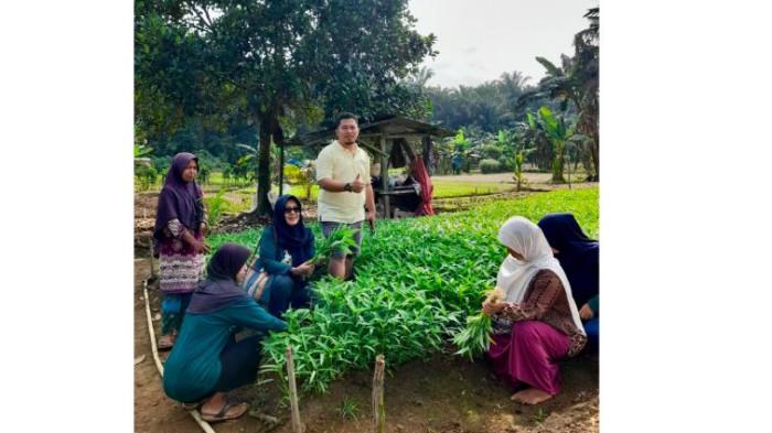 Pendampingan kepada anggota KWT Kirana Tani membantu meningkatkan kualitas produk dan memperluas akses ke pasar modern