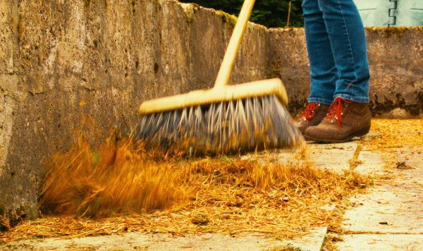 Picture of someone sweeping out dead weeds 
