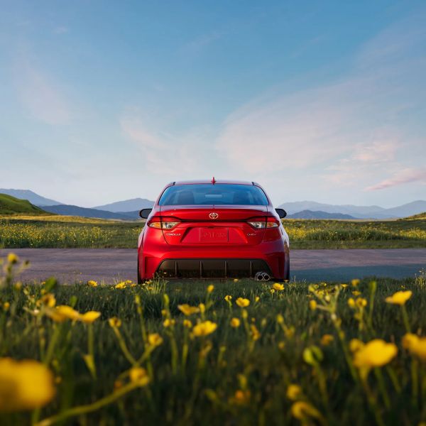 Rear view of a red Toyota Corolla parked on a road with yellow flowers and mountains in the background.