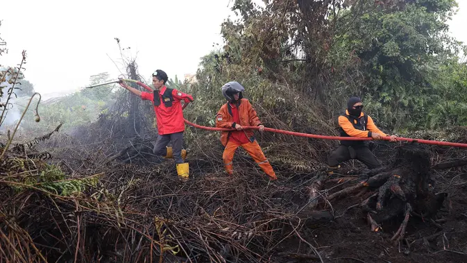 Petugas pemadam kebakaran menyemprotkan air untuk memadamkan api yang melalap lahan gambut di Kubu Raya, Kalimantan Barat, Indonesia, Selasa, 11 Agustus 2026. (Foto AP/Stefanus Taman)