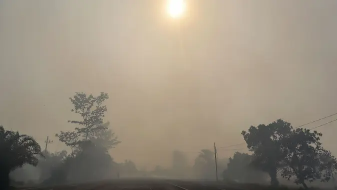 Jalan yang diselimuti kabut asap di Kota Palangka Raya, Kalimantan Tengah, Kamis,  20 Agustus 2026. (AFP/ Reina)