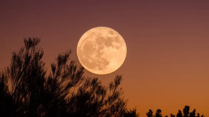 Ilustrasi bulan. (Dok. Ganapathy Kumar/Unsplash)