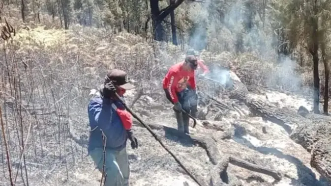 Proses pemadaman Karhutla di kawasan Gunung Arjuno- Welirang. (Liputan6/Hermawan Arfianto)