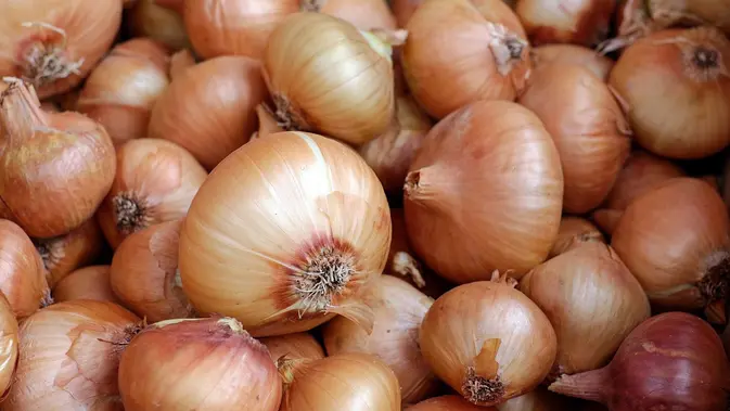 Ilustrasi bawang bombai. (Photo by Couleur on Pixabay)