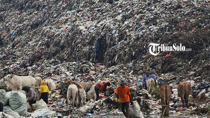 SAMPAH MEMBLUDAK - Tempat Pembuangan Akhir (TPA) Putri Cempo Solo, Rabu (8/4/2026). Kemampuan Pembangkit Listrik Tenaga Sampah (PSEL) Putri Cempo dalam mengolah sampah justru terus menurun. Kondisi ini menjadi salah satu penyebab utama menumpuknya sampah di TPA Putri Cempo, yang saat ini masih menerapkan sistem pembuangan terbuka (open dumping).