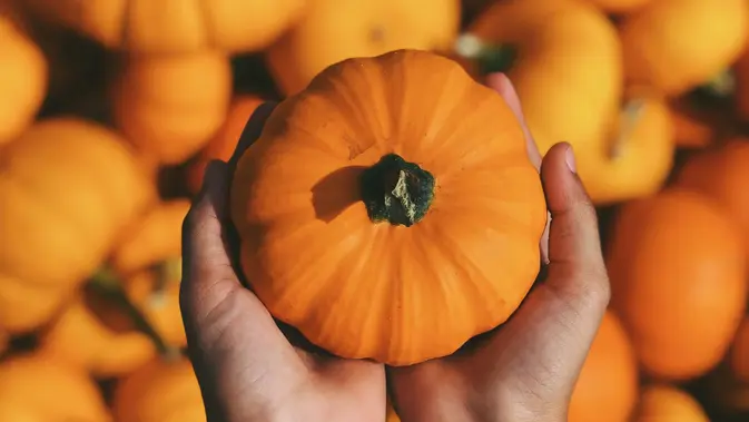 labu kuning (Foto: unsplash.com)